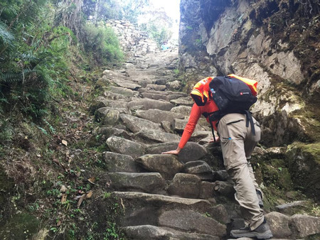 Inca Trail to Machu Picchu 2 Days/1Night photo 3
